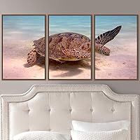 3 Piece Framed Canvas Wall Art Turtle Under The Surface Canvas Prints Home Artwork Decoration for Living Room,Bedroom - 16