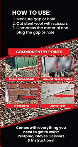 Pestplug - 100% Stainless Steel Wool, Large Diy Kit, Rodent Barrier/Fill Fabric - Use To Block Mice, Rodents And Flying Insects. Does Not Rust! Plug Or Fill Holes, Cracks And Gaps Home, Farm, Rv's #TOP7