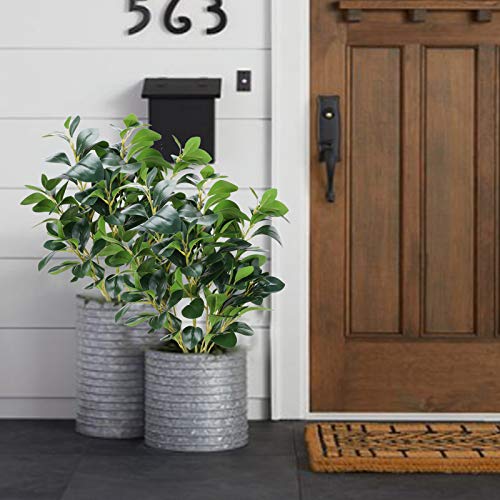 El mejor review de Floreros de piso disponible en línea para comprar. 21 El mejor review de Floreros de piso disponible en línea para comprar. 21