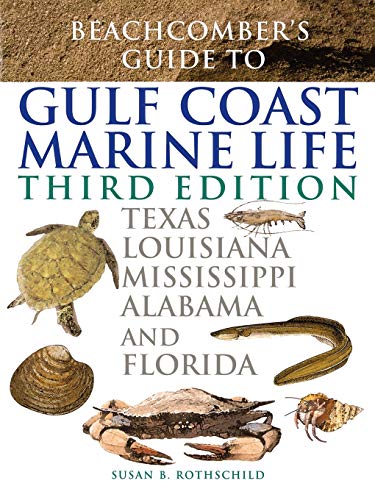 Beachcomber's Guide to Gulf Coast Marine Life: Texas, Louisiana, Mississippi, Alabama, and Florida