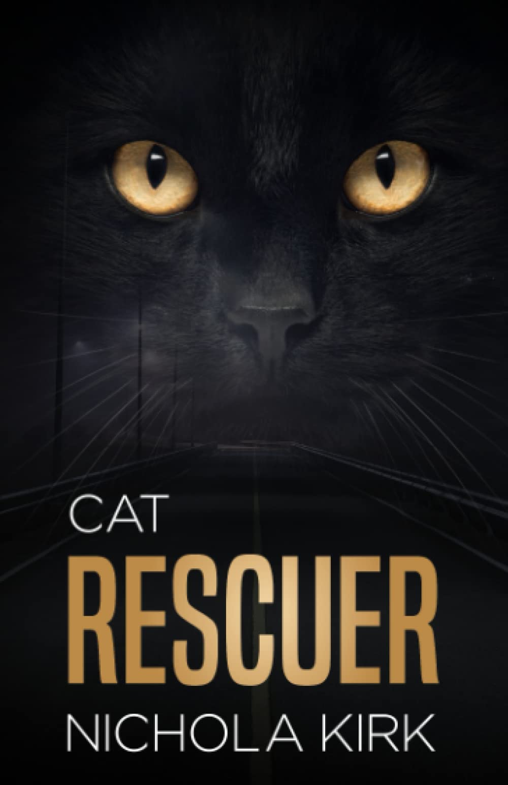 Cat Rescuer: Rescuing strays from the streets of London