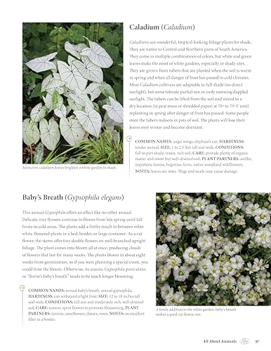 White Gardens: Creating Magnificent Moonlit Spaces: Guide to White and Luminous Plants (Creative Homeowner) How to Create a Night Garden with Plants that Reflect the Moon or Bloom in the Evening - Image 6
