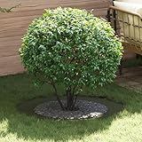 【Matériau Robuste et Résistant】 Fabriquée en métal de haute qualité, cette jardinière est résistante aux taches et à l'usure. Sa structure métallique assure une longévité accrue tout en préservant l'éclat de son design. Moins d'entretien, plus de temps pour profiter de vos plantes. Idéale comme pot de fleur extérieur grande taille.