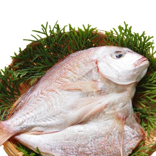 大きな天然鯛の一夜干し/3尾で1.2kg以上_1061R