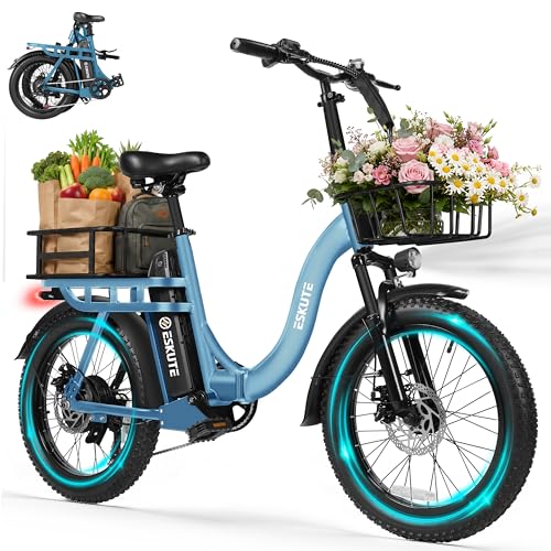 ESKUTE D200 Folding Cargo Ebike