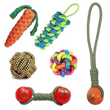 PSK PET MART Combo of 6 Cute Toys for Small/Medium Dogs - Plastic Handle Ball | Dummy | Rainbow Ball | Plastic Ball Dumble | Carrot | Rope Ball |
