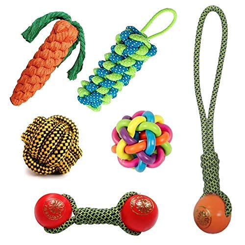 PSK PET MART Combo of 6 Cute Toys for Small/Medium Dogs - Plastic Handle Ball | Dummy | Rainbow Ball | Plastic Ball Dumble | Carrot | Rope Ball | (B09FQ6MGWQ) Amazon Price History, Amazon Price Tracker