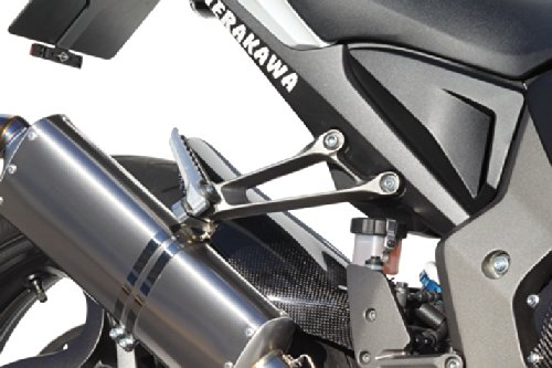 Amazon | ティーエスアール(TSR) スリップオンマフラー TS01