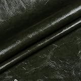 SHIJHUI