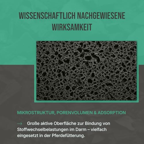 C44-Zittau Premium Futterkohle 0-3 mm für Pferde – 100% natürlicher Futtermittelzusatz für Verdauung, Stallhygiene, Geruchsbindung, Güllequalität & Darmflora – Made in Germany (10L)