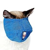 Puede hacer que el gato vaya a hospitales de mascotas para aliviar la emoción, pero también ayudarles a aceptar la belleza de las mascotas.