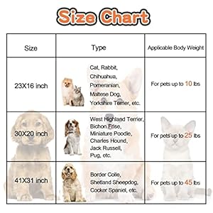1-Pack-3-Dog-Blankets-for-Small-Dogs-Soft-Fleece-Dog-Blanket-Fluffy-Pet-Blanket-Warm-Sleep-Mat-Grey-Cute-Paw-Print-Puppy-Cat-Blanket-Flannel-Throw-for-Washable-Dog-Bed-Blanket-for-Dogs-23X16 - Cucciolini Doodles   1-Pack-3-Dog-Blankets-for-Small-Dogs-Soft-Fleece-Dog-Blanket-Fluffy-Pet-Blanket-Warm-Sleep-Mat-Grey-Cute-Paw-Print-Puppy-Cat-Blanket-Flannel-Throw-for-Washable-Dog-Bed-Blanket-for-Dogs-23X16