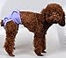 He&Ha pet Dog Diapers Female Washable Female Dog Padded Diaper Reusable Dog Sanitary Panties Set of 3 (Small)