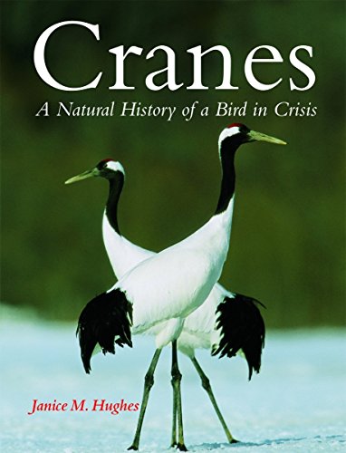 Cranes: A Natural History of a Bird in Crisis by Janice Hughes (6-Oct-2008) Hardcover