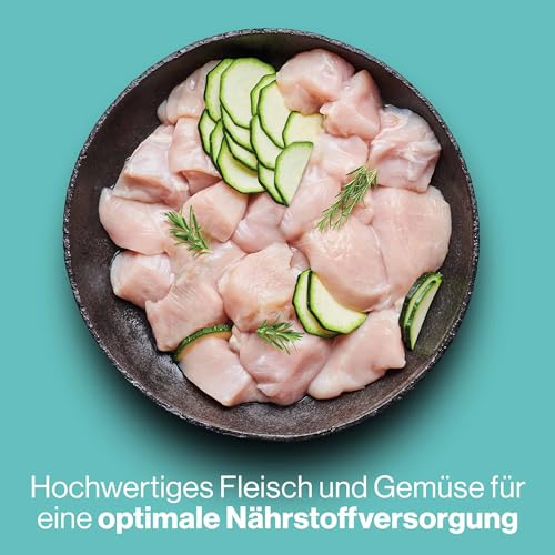 Pets Deli Nassfutter für Katzen Saucen Menü mit Hühnerfilet und Zucchini ohne Zucker und Gluten 12 x 70g