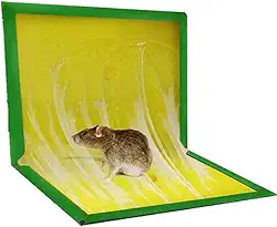 Kit c/ 5 Ratoeira Adesiva Pega Rato Atóxica 19x26cm - 12449