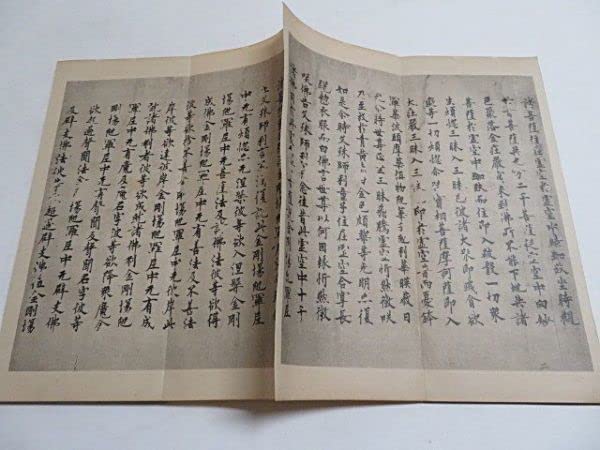 Amazon.co.jp: 金剛場陀羅尼経 1帖 解説付き 昭和13年 武田墨彩堂戦前