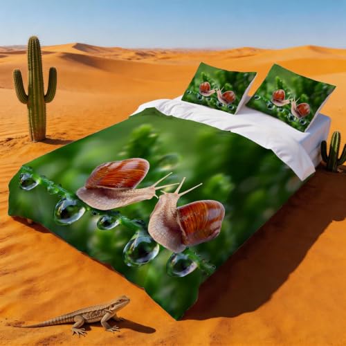 Housse de couette 200x200 escargot infroissable en microfibre douce - 3