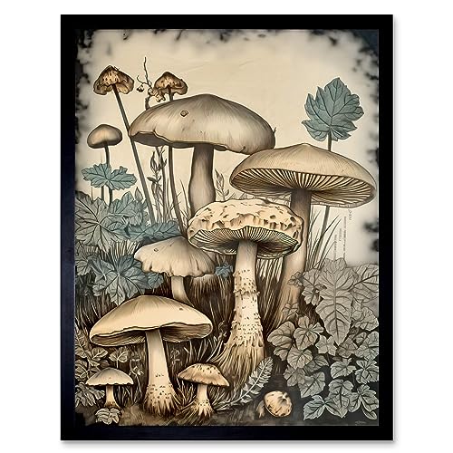 Artery8 Mushroom Fungi Watercolour Vintage Cottagecore Aesthetic Rustic Decor Art Print Framed Poster Wall Decor 12x16 inch