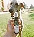 Doggy Derma Hot Spot Spray for Dogs :: 100% Natural Dog Itch & Hot Spot Treatment, Scientifically Formulated for Faster Relief Without Any Harmful Chemicals :: Safe & Nontoxic, 2 Fl. Oz
