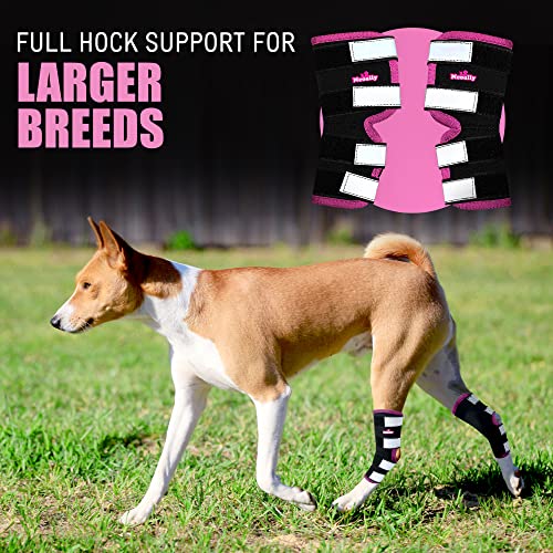 NeoAlly Dog Rear Leg Brace [Long Version] Canine Back Leg Wraps w/Safety Reflective Straps for Joint Injury and Sprain Protection, Wound Healing and Loss of Stability from Arthritis (Pink M Pair) - Thumbnail 2