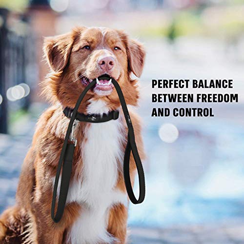 Active Pets Strong Dog Leash With Padded Handle, 4 Sizes From Puppy Leash To 6Ft Dog Leash For Large Dogs, Dog Leash 6Ft-4Ft Long, Comfortable 6Ft Dog Leash For Big Dogs & Dog Leash For Medium Dogs #TOP6