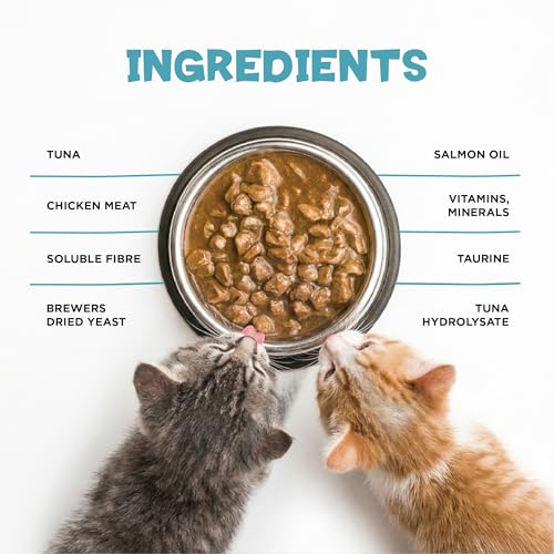 Image of Wet Kitten Cat Food Jelly 12 Pouches, (Upto 12 Months), Made with Real Tuna Fish & Chicken | Kitten Cat Food High Protein & Omega 3, Healthy Skin & Coat | (85g Each Pack)