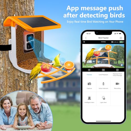 Bird Feeder with Camera Solar Powered, 2K Live Video, for Outdoor Backyard - Ai Identify Auto Capture Videos, Unique Outdoor Gifts for Mom Dad Birdlover