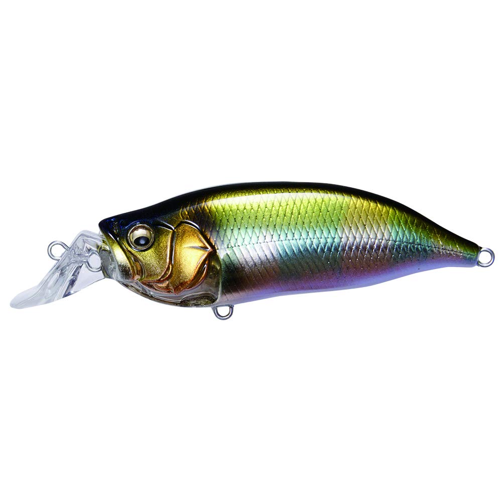 ①メガバス　IXI SHAD TYPE-R 16個 メガバス (Megabass)IxI SHAD TYPE-R (アイバイアイシャッド