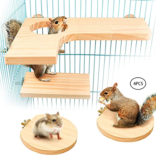 FDDD 4 Pezzi Animale Domestico di Legno