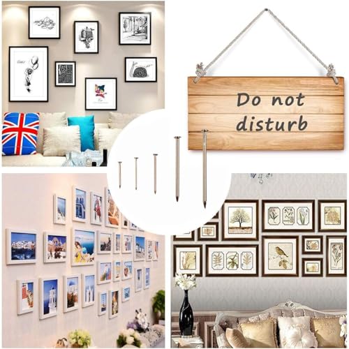 Image of Nails for Hanging Pictures, Hardware Nails, Stainless Steel Nail Assortment Kit, 350 Pieces, Hanging Picture Nails, Wall Nails, Finish Nails, Frame Nails, Wooden Nails