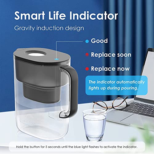Waterdrop 200-Gallon Long-Life Lucid 10-Cup Water Filter Pitcher, Nsf Certified, 5X Times Lifetime, Reduces Fluoride, Chlorine And More, Bpa Free, Light Black #TOP5