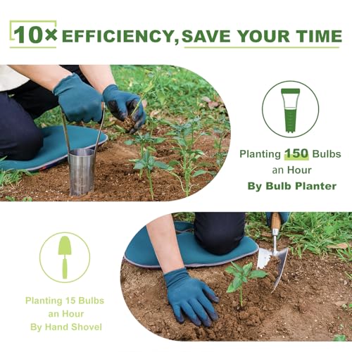 Haliaeetus Bulb Planter Tool