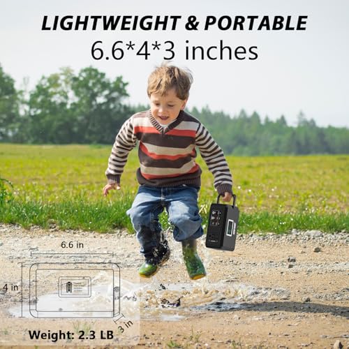 Image of HOWEASY Portable Power Bank, 24000mAh Portable Laptop Charger with 2 110V /120W AC Outlet,Portable Battery Pack & Power Bank for Notebooks, MacBook, Laptops