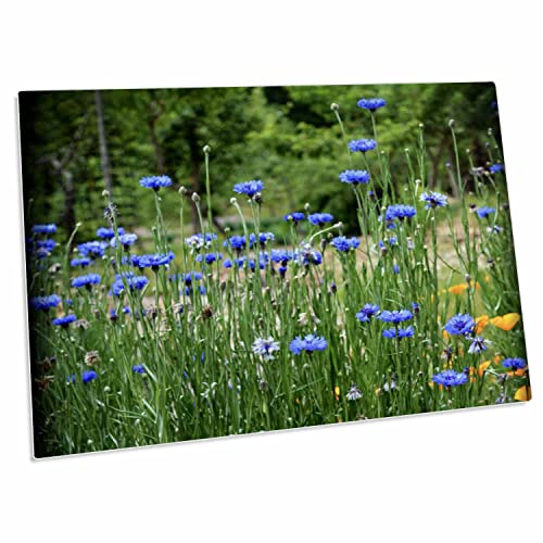 Alfombrilla para escritorio con flores azules 23x16 pulgadas