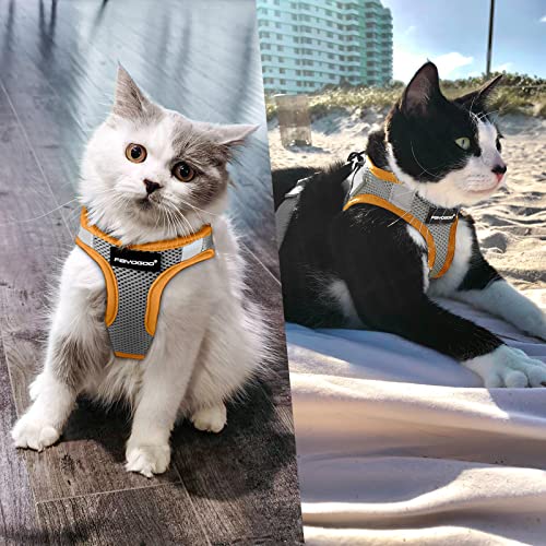 Image of FAYOGOO Cat Harness and Leash Set | Upgrade Step-in Escape Proof Harness | Lightweight Soft Vest, No-Choke Design for Walking, Travel, Camping (Gray)