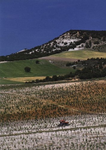Jancis Robinson's Wine Course: A Guide to the World of Wine