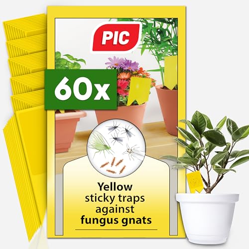 PIC Fungus Gnat Sticky Traps - 60x Effective Yellow Sticky Traps Fungus Gnats Sticky fly Traps Indoor Plant against Fungus Gnats and Small Flies in Potting Soil Plant fly stickers up to 6 months
