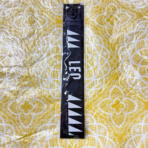 BE:FIRST Mainstream BIG�n���h�X�g���b�v LEO