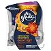 Glade Plugins Scented Oil Air Freshener 2 Piece Refill, Blooming Desert Night, 1.34 Fluid Ounce