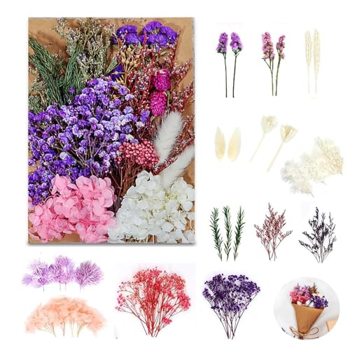 Getrocknete Blumen, Trockenblumen zum Basteln Gepresste Blüten Natürliche Schleierkraut Getrocknet Klein Getrockneten Gemischte Deko für DIY Kunst Scrapbooking (Violett)