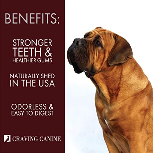 Craving Canine Grade A Usa Deer Antlers For Dogs! Odorless, Split-Resistent Horns For Aggressive Chewers! Long-Lasting & Easy To Digest Antler Full Of Glucosamine For Healthy Joints! 1 Lbs #TOP2