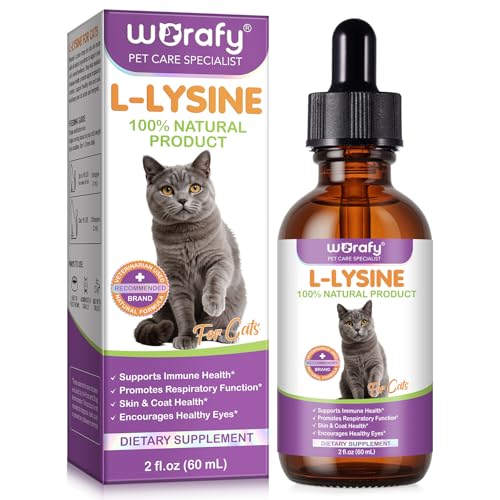 MXCZBSM L-Lysin Tropfen für Katzen Flüssig bei Katzenschnupfen | Stärkt die Abwehrkräfte & lindert Niesen Schnupfen & tränende Augen | Leckerer Hähnchengeschmack | 60 ml