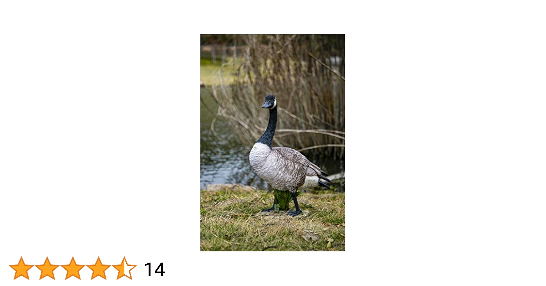 Amazon.com: Hi-Line Gift Standing Canada Goose Statue, Grey