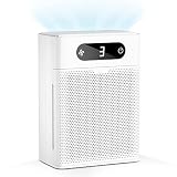 Airversa Air Purifier H13 True HEPA Filter 99.97% Effective Small Room Office Air Cleaner Desktop Ta