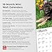 German Shepherd Puppies | 2026 7 x 14 Inch (Hanging) Monthly Mini Wall Calendar | BrownTrout | Animals Dog Breeds Puppy