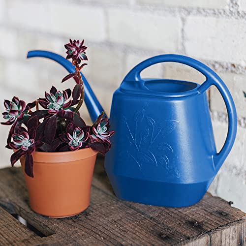Image of Bloem Watering Can Aqua Rite 1.1 Gallon (144 Fl Oz) Classic Blue