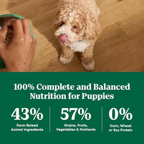 Image of Nutro Natural Choice Small Bites Dry Dog Food, Salmon Recipe, 4.5 lb