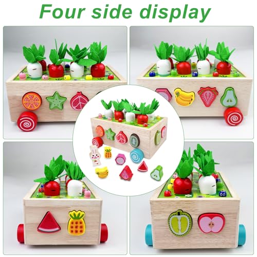 Chiluxendo Jeux pour les Enfants 1 An, Montessori Éducatif Collecte de la Mémoire, Jeu Cadeau Préscolaire, Jouets en Bois Jouet Éducatif pour Filles et Garçons à Partir Chiluxendo Jeux pour les Enfants 1 An, Montessori Éducatif Collecte de la Mémoire, Jeu Cadeau Préscolaire, Jouets en Bois Jouet Éducatif pour Filles et Garçons à Partir