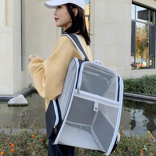 Mochila de salida para mascotas: soluciona el estrés del transporte convencional 4